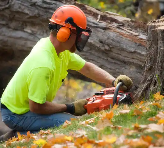 tree services Walhalla